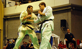 Karatė kioku&scaron;in turnyras DIAMOND CUP 2009