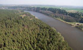 Nemuno kilpų regioninio parko vertybės