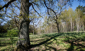 Panemunių regioninio parko pritaikymas lankymui