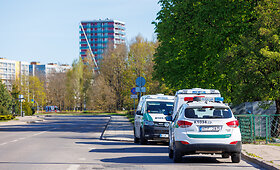 Karių kapinėse Kaune &ndash; dažais apra&scaron;inėti medžiai