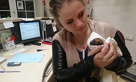 Eglė Mulevičiūtė savanorystę pavertė darbu