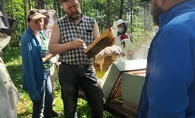 Socialinės dirbtuvės bityne