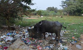 Indijos miesto, Hyderabado, kasdienybė