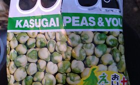 Japoni&scaron;kos linksmybės neįsivaizduojamos be maisto ir gėrimų