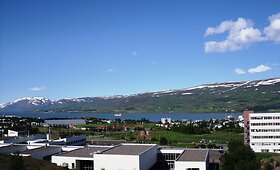 VDU studento Audriaus Sabūno įspūdžiai i&scaron; Islandijos ir Japonijos