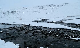 Laukinės gamtos kra&scaron;tas &ndash; Islandija