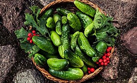 Dėl geriausio Lietuvos gastronominio projekto titulo varžosi įvairūs patiekalai