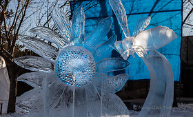 Kanadoje vyksta ledo skulptūrų festivalis &bdquo;Ice on Whyte&ldquo; 