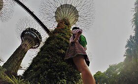 Singapūras &ndash; urbanistinių džiunglių miestas