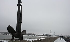 Melnragė žiemą