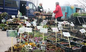 Klaipėdoje prasidėjo mugė &bdquo;Pavasario spalvos&ldquo;