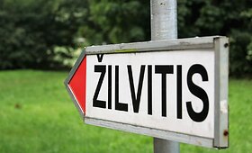Stovykla &bdquo;Žilvitis&ldquo;