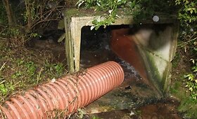 Blogas kvapas privertė sunerimti dėl galimai į kanalą tekančių srutų