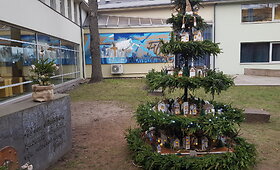 I&scaron;skirtinė eglutė: ant &scaron;akų &ndash; Klaipėdos miesto atspindžiai