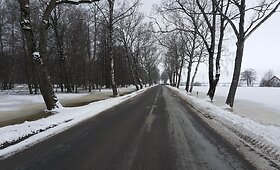 Paaukojo estakadai: Rusnės alėja liko be medžių