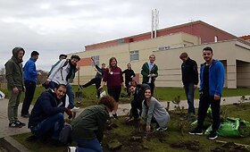 Projektas "Pu&scaron;ys Klaipėdai: tūkstančiai pasodintų, tačiau mažai prigijusių pu&scaron;elių