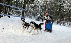 Varžėsi &scaron;unų kinkiniai