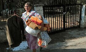 Prie Atėnų siausdami gaisrai sunaikino iki 60 namų