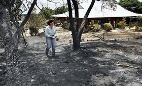 Australijoje dėl degančių krūmynų paskelbta ypatinga padėtis