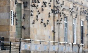 Kolumbijos kongresų rūmus menininkas papuo&scaron;ė skruzdėlėmis