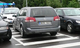 Fotopolicija &ndash; 2010 m. birželio pažeidėjai