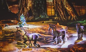 Nujasis &bdquo;Cirque du Soleil&ldquo; &scaron;ou &ndash; pagal juostą &bdquo;Įsikūnijimas&ldquo;