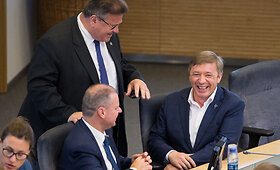 Seimas nusprendė suteikti naujus įgaliojimus Vyriausybei