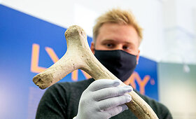 Pristatytas seniausias žinomas archeologinis radinys Lietuvoje