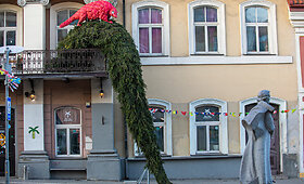 Jolitos Vaitkutės kūrinys &bdquo;Eglutė, netelpanti į balkoną, ir skujuotis&ldquo;