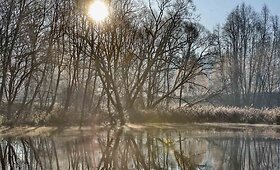 Po naktinės &scaron;alnos &ndash; rūkas ir trapus &scaron;erk&scaron;no spindesys 