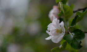 Vilniečių poilsis pavasari&scaron;kame Vingio parke
