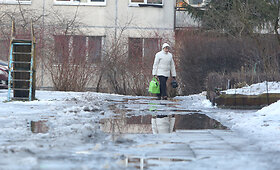 Vilniaus &scaron;aligatviai &ndash; slidoki ir &scaron;lapi