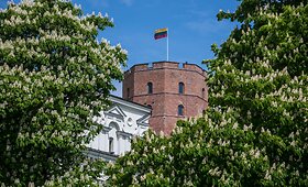 Vilnius žydi baltomis ka&scaron;tonų &bdquo;žvakėmis&ldquo;