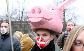 Nepatenkintieji kiaulidžių kaimynyste susirinko prie Seimo