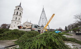 Vilniaus Katedros aik&scaron;tėje pradėta statyti Kalėdų eglė