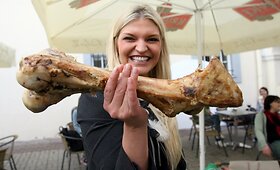 Skaivos augintinio Marselio gimtadienio &scaron;ventė