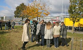 Vilniaus licėjaus kieme pasodinta per 80 medelių