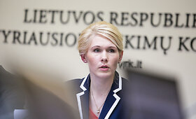 Vasario 28d. Vyriausiosios rinkimų komisijos posėdis