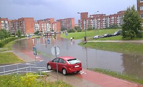 &Scaron;e&scaron;tadienio liūtis Klaipėdoje