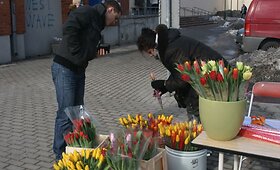 Moters dieną klaipėdietes džiugino gėlės, dainos ir sveikinimai