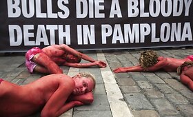 Gyvūnų teisių aktyvistų protestas prie&scaron; San Fermino festivalį
