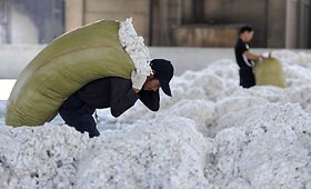 Kinijoje tikimasi 6,9 mln. tonų medvilnės derliaus