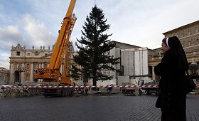 Vatikano pagrindinėje aik&scaron;tėje pastatyta Kalėdų eglė