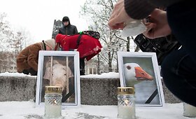 V.Kudirkos aik&scaron;tėje protestas prie&scaron; gyvūnų i&scaron;naudojimą