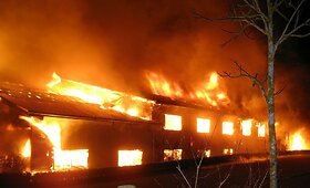 Vokietijoje per gaisrą fermoje sudegė 85 kupranugariai