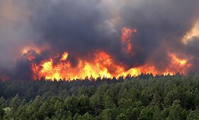 Didžiuliai mi&scaron;kų gaisrai siaubia Kolorado valstiją