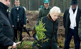 Lietuvos rekordas &ndash; užra&scaron;as i&scaron; medžių &bdquo;Žalgiris 600&ldquo;