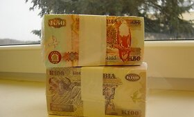Sulaikyta 150 tūkst. Zambijos kvačų pa&scaron;to siunta