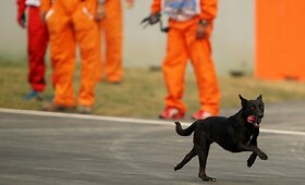 Benamis &scaron;uo i&scaron;bandė naują &bdquo;Formulės-1&ldquo; trasą Indijoje