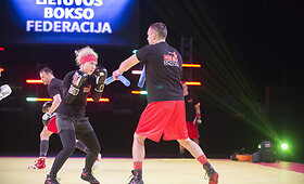 Lietuvos kovos menų festivalis